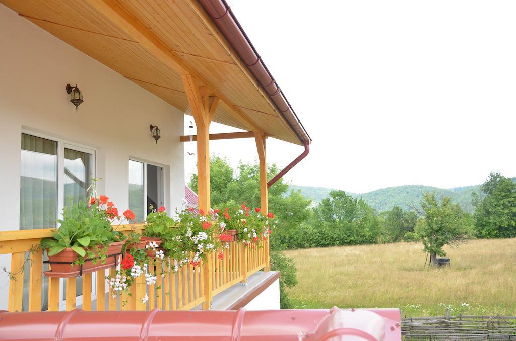 Pensiunea Poezii Alese Valea Drăganului Exterior photo
