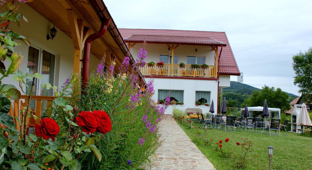 Pensiunea Poezii Alese Valea Drăganului Exterior photo