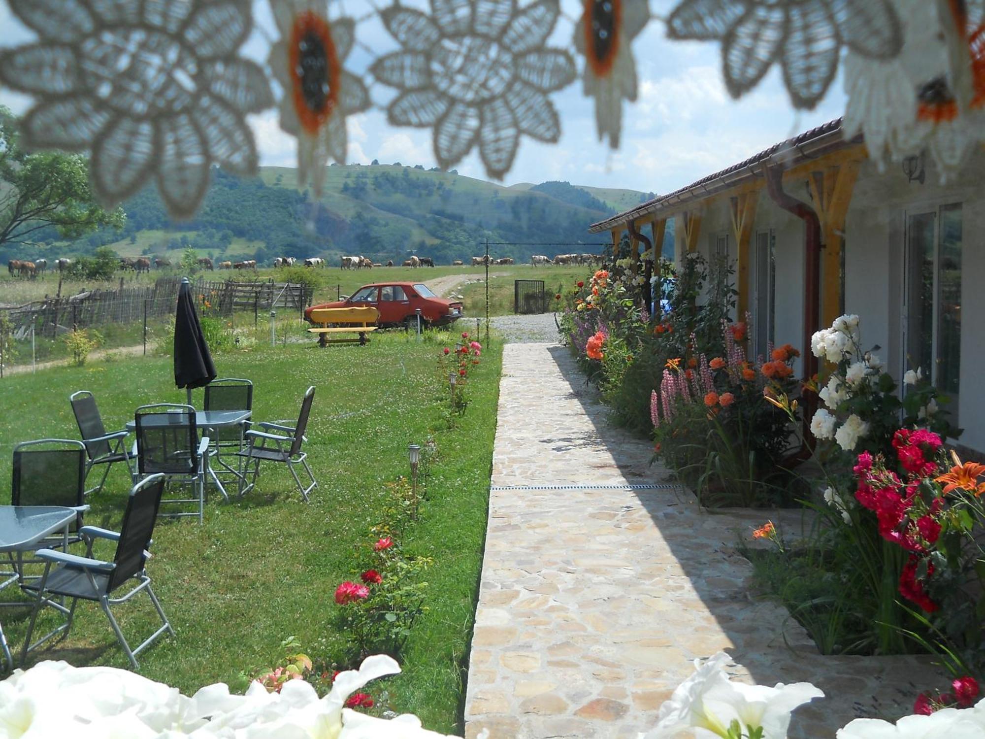 Pensiunea Poezii Alese Valea Drăganului Exterior photo